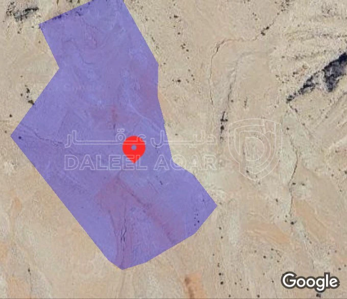 أرض في الطفيله مقابل بلدية بصيرا - 7,000 دأ - صورة 1