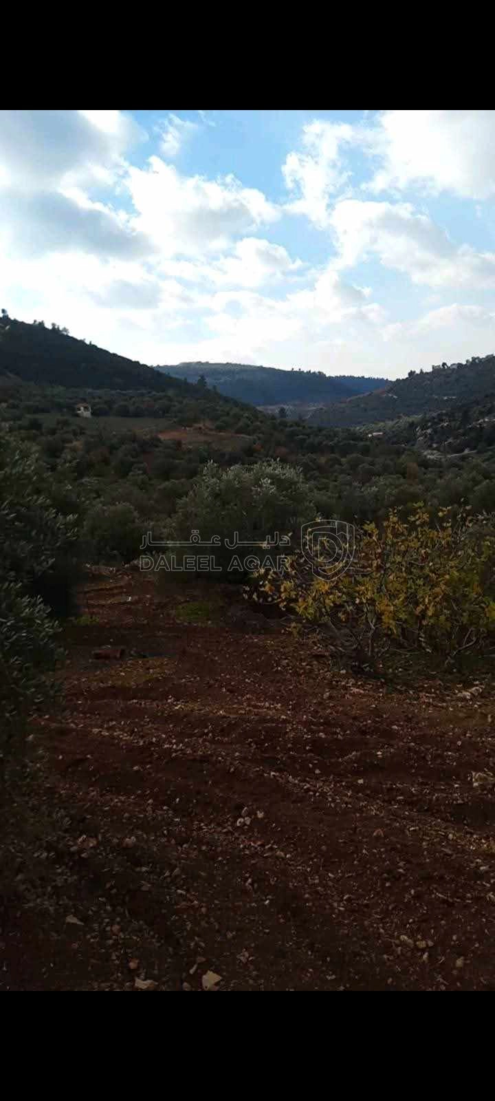 أرض في جبال شمال جرش ساكب - 64,800 دأ - صورة 1