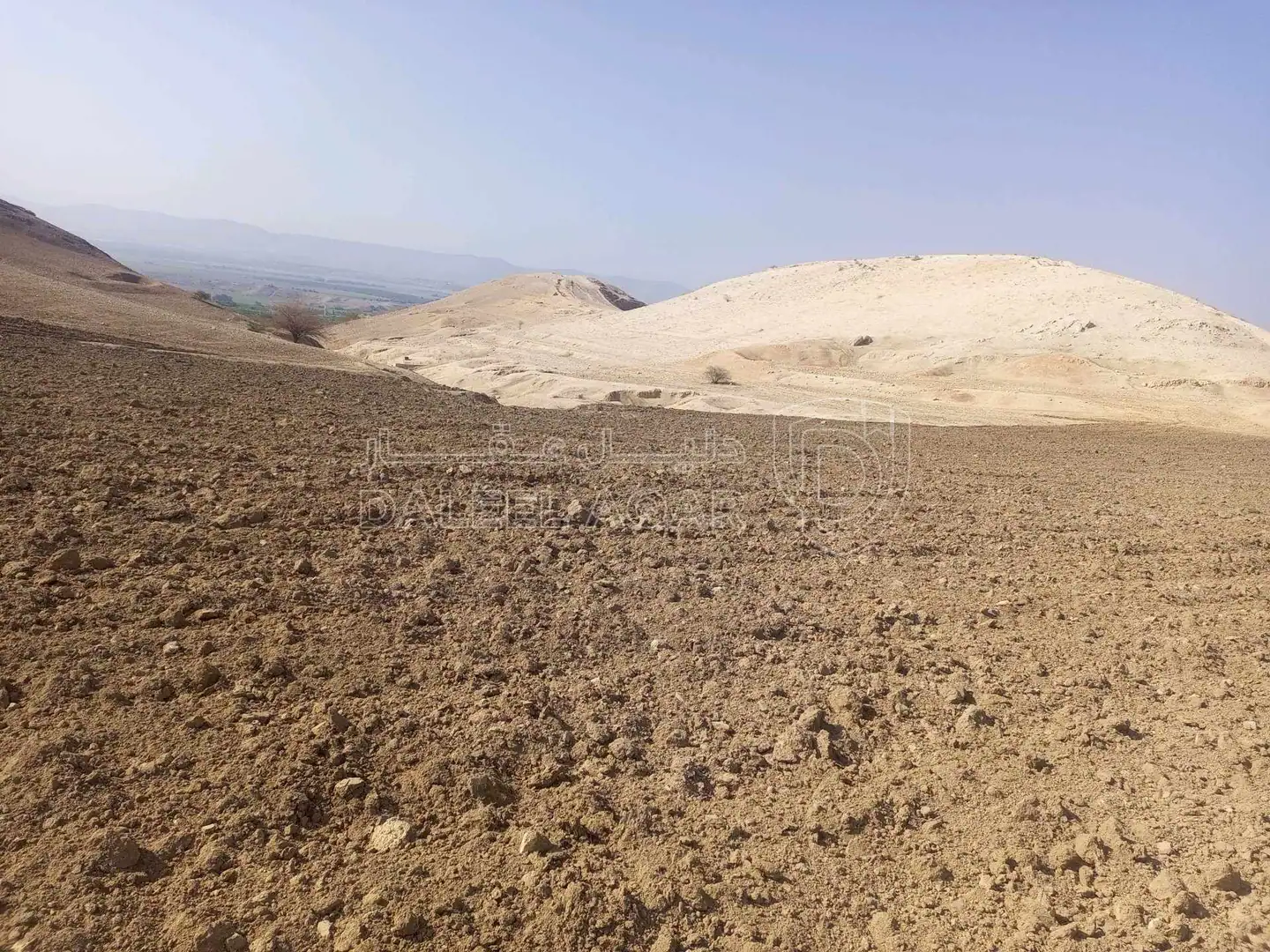 أرض في جنوب اسكان المكرمه بالاغوار الشماليه - 36,000 دأ - صورة 1