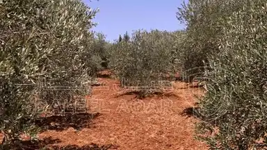 فيلا/منزل في الصبيحي - 500,000 دأ - صورة NaN