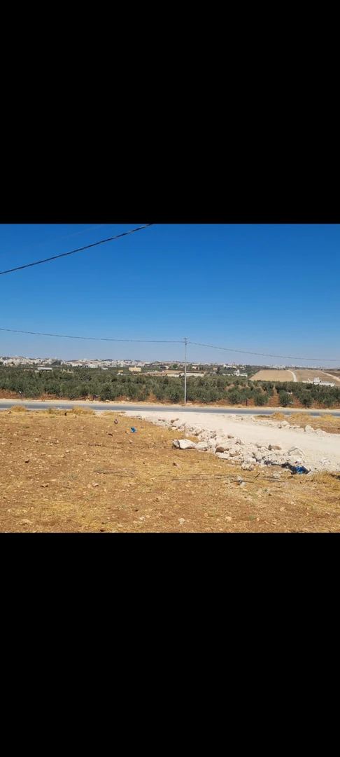 أرض في قرب مرج الحمام - 55,000 دأ - صورة 1