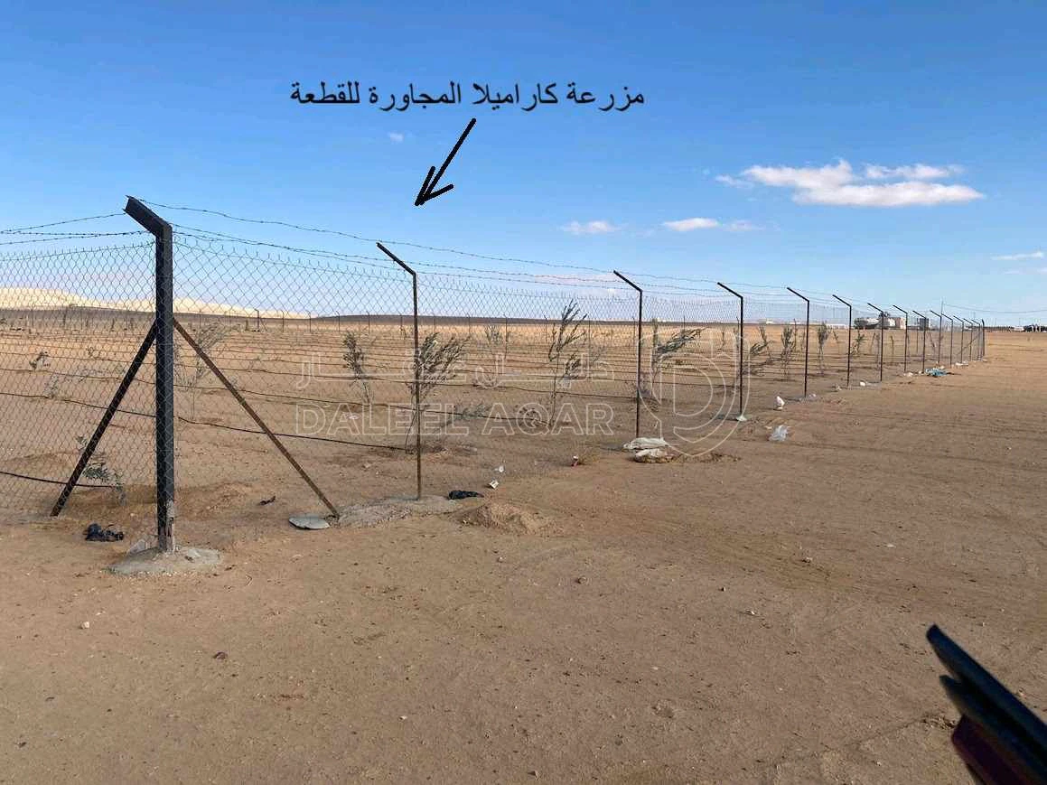 أرض في خلف واجهة مطار الملكة علياء الدولي - 22,000 دأ - صورة 1