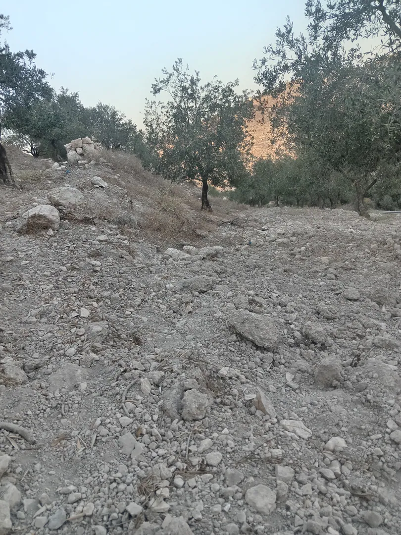 أرض في اراضي عنبه الحاره التحتى.. طريق النقيع - 140,000 دأ - صورة 1