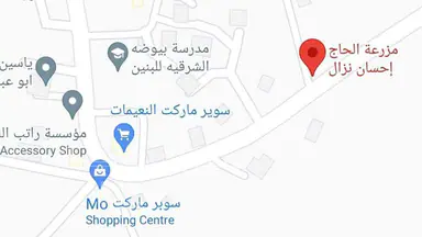 مزرعة/شاليه في السلط الصبيحي بيوضة - 217,000 دأ - صورة NaN