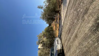أرض في ماحص / أطراف منطقة بدر الجديده / بجانب قصر السعودي  - 170,000 دأ - صورة NaN