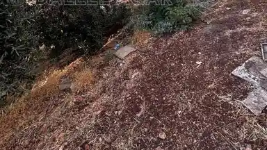 فيلا/منزل في عمان البيادر ابو السوس بالقرب من مسجد ابو السوس الكبير  - 145,000 دأ - صورة NaN