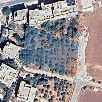 أرض في مأدبا المأمونية الغربية  - 50,000 دأ - صورة 1