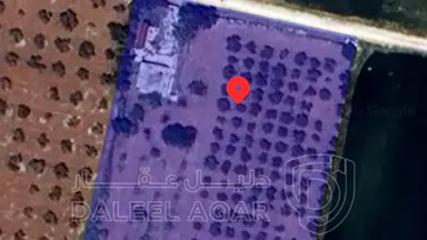 أرض - ناعور حسبان طريق مادبا الغربي - 220000 دأ