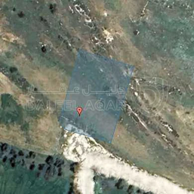 أرض في ارض في بلعاس بالقرب من مطعم زوار  - 155,000 دأ - صورة 1