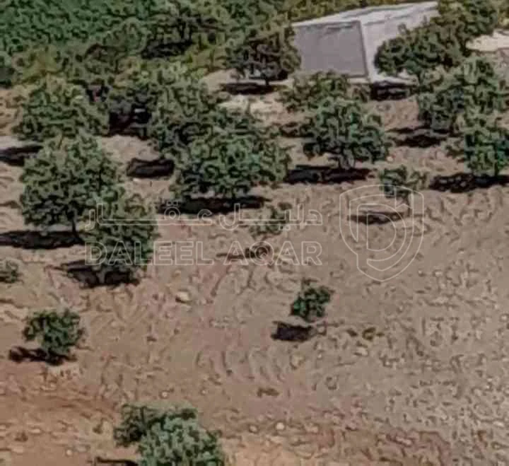 أرض في كفرنجه منطقة راجب - 68,000 دأ - صورة 1