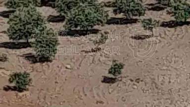 أرض في كفرنجه منطقة راجب - 68,000 دأ - صورة NaN