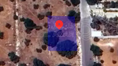 أرض - غرب عمان بدر الجديده  - 180000 دأ