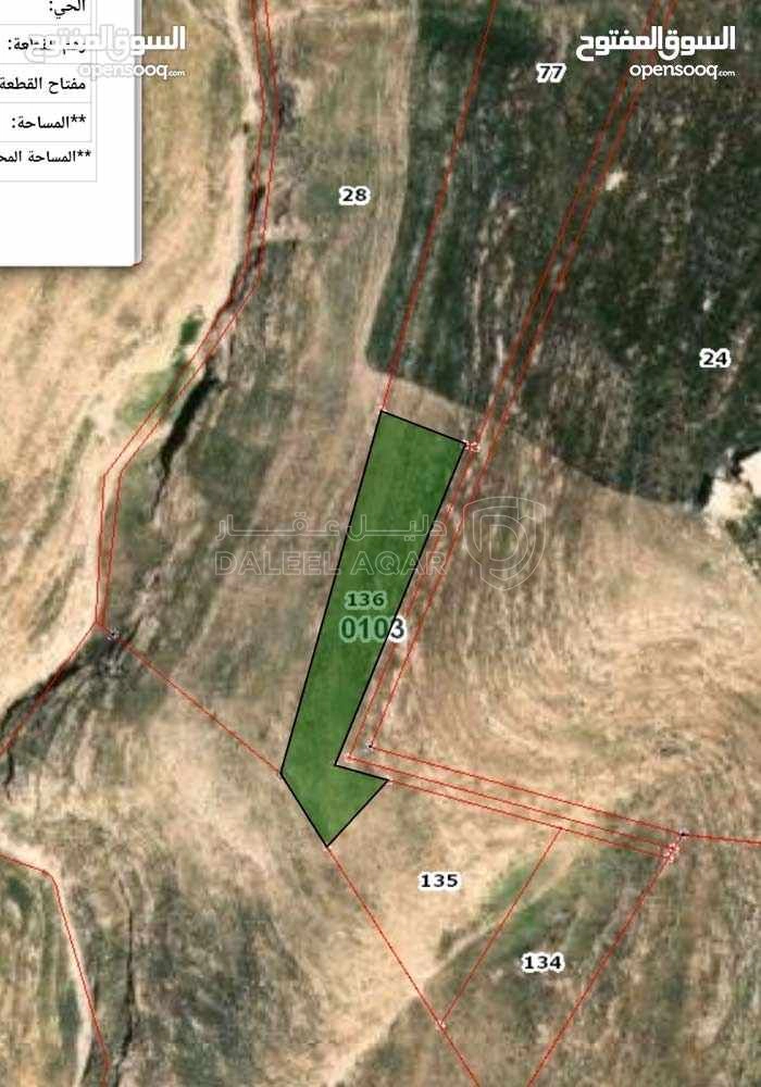 أرض في مادبا - لب - المنسف الغربي  - 9,000 دأ - صورة 1