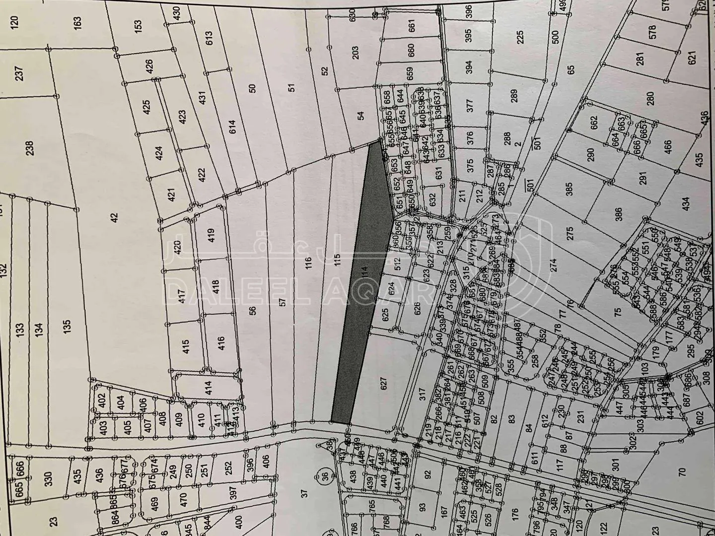 أرض في ارض استثمارية مساحة 22 دونم للبيع في مادبا - جرينة - 650,000 دأ - صورة 1