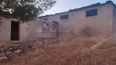 أرض في الزرقاء قضاء بيرين صروت  - 187,500 دأ - صورة NaN