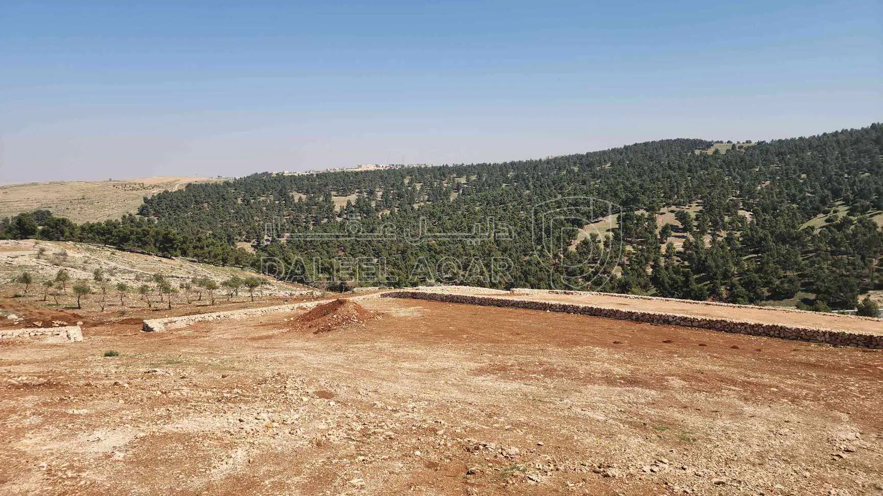 أرض في اتوستراد اربد عمان - 60,000 دأ - صورة 1