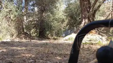 أرض في الطفيلة ام قرى - 25,000 دأ - صورة NaN