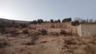 أرض في الزرقاء قضاء بيرين صروت  - 187,500 دأ - صورة NaN