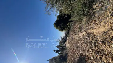 أرض في ماحص / أطراف منطقة بدر الجديده / بجانب قصر السعودي  - 170,000 دأ - صورة NaN