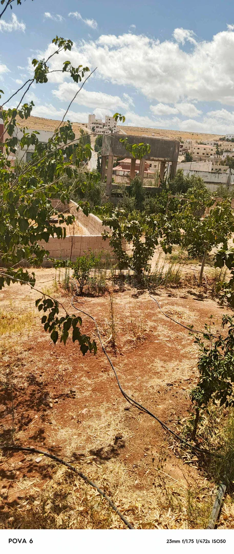 مبنى في الزرقاء الهاشمية غريسا  - 65,000 دأ - صورة 1
