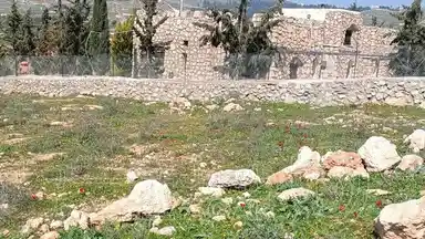 أرض في منطقة دحل طريق الزرقاء جرش - 50,000 دأ - صورة NaN