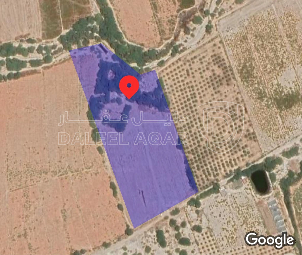 أرض في ارض للبيع في غور الرامة  - 1,575,000 دأ - صورة 1