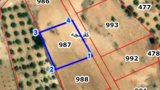 أرض في ارض من ارضي الحرث تحت المدرسه - 25,000 دأ - صورة 1