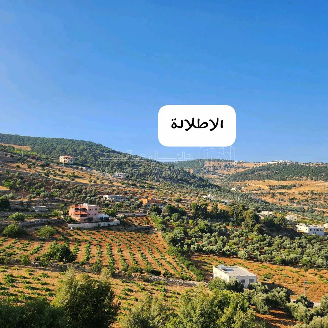أرض في أرض للبيع بسعر مغري في منطقه سوف  - 283,000 دأ - صورة 1