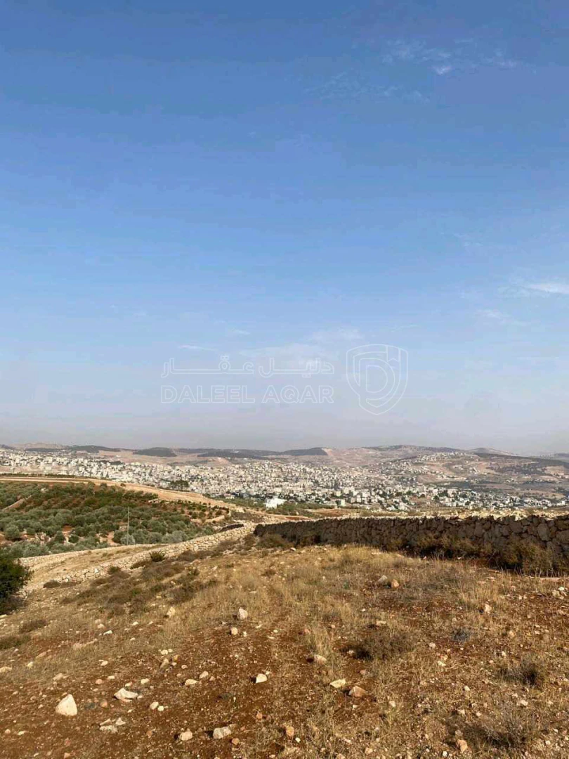 أرض في جرش- سوف - خربة زقريط - 75,000 دأ - صورة 5