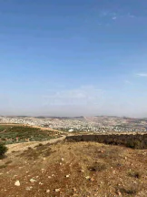 أرض في جرش- سوف - خربة زقريط - 75,000 دأ - صورة NaN