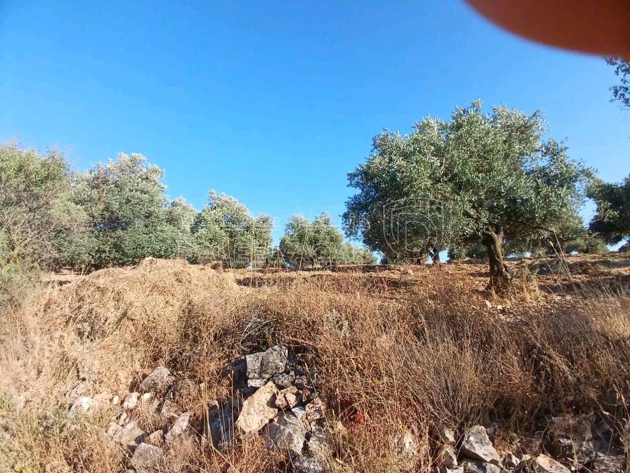 أرض في جرش  بالقرب من محمية الغزلان  - 75,000 دأ - صورة 1