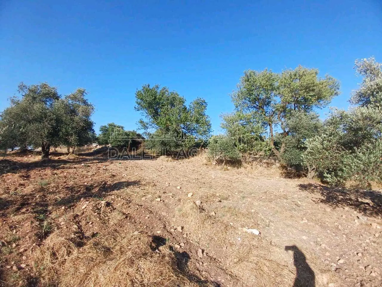 أرض في جرش  بالقرب من محمية الغزلان  - 75,000 دأ - صورة 1