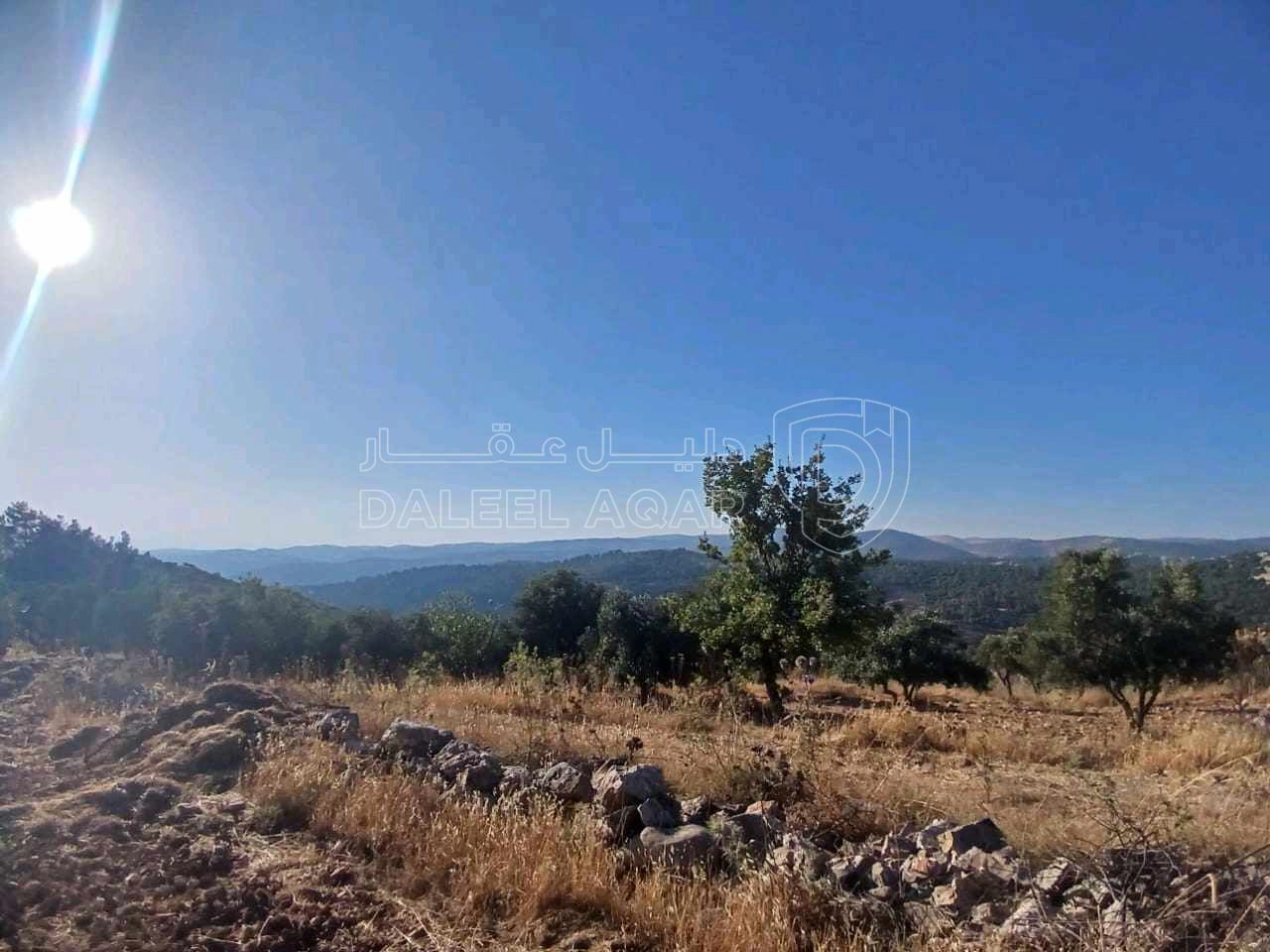 أرض في جرش  بالقرب من محمية الغزلان  - 75,000 دأ - صورة 1