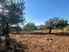 أرض في جرش  بالقرب من محمية الغزلان  - 75,000 دأ - صورة NaN