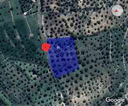 أرض في جرش  بالقرب من محمية الغزلان  - 75,000 دأ - صورة NaN