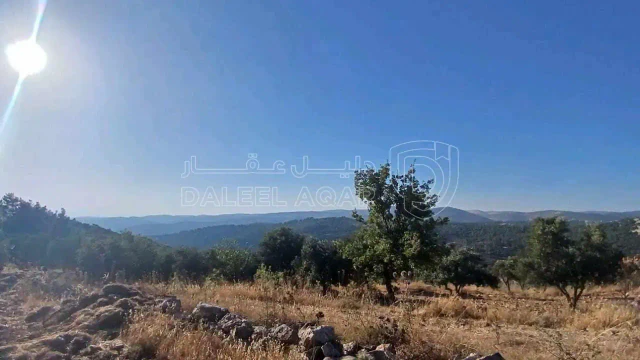أرض في جرش  بالقرب من محمية الغزلان  - 75,000 دأ - صورة 1