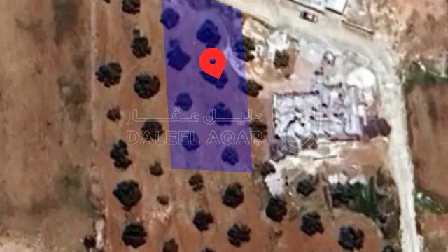 أرض - الكرك/الوسيه  - 26000 دأ