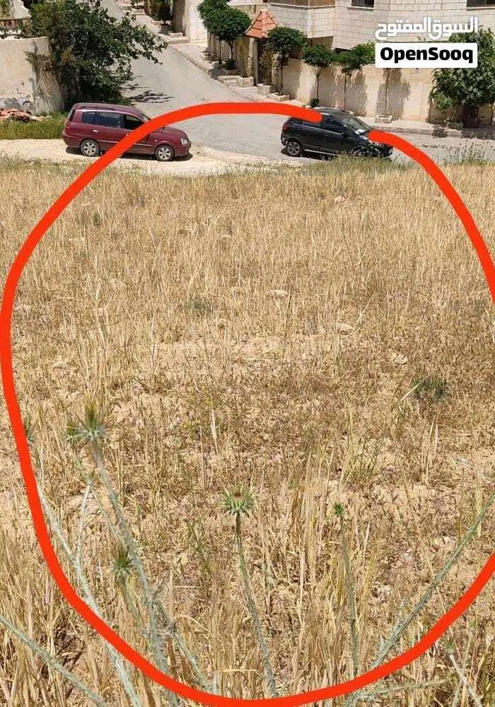 أرض في أرض للبيع مساحة 505في منطقة ماركا مقابل البلوتيكني - 40,000 دأ - صورة 1