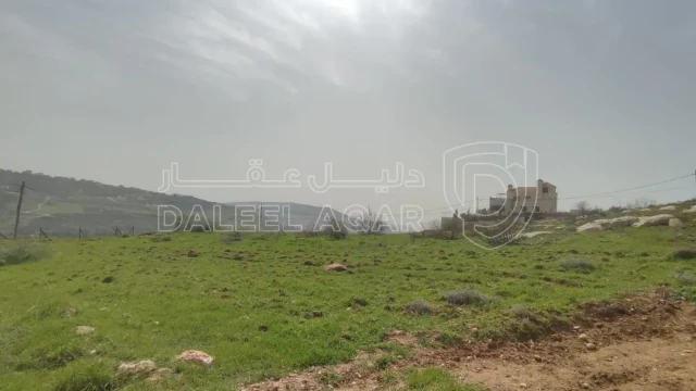 أرض - للبيع قطعة ارض في ناعور حوض عيون الجاموس - 128790 دأ