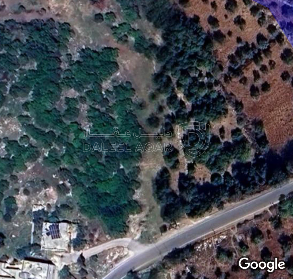 أرض في عجلون ، صنعار، بئر الداليو - 20,000 دأ - صورة 1