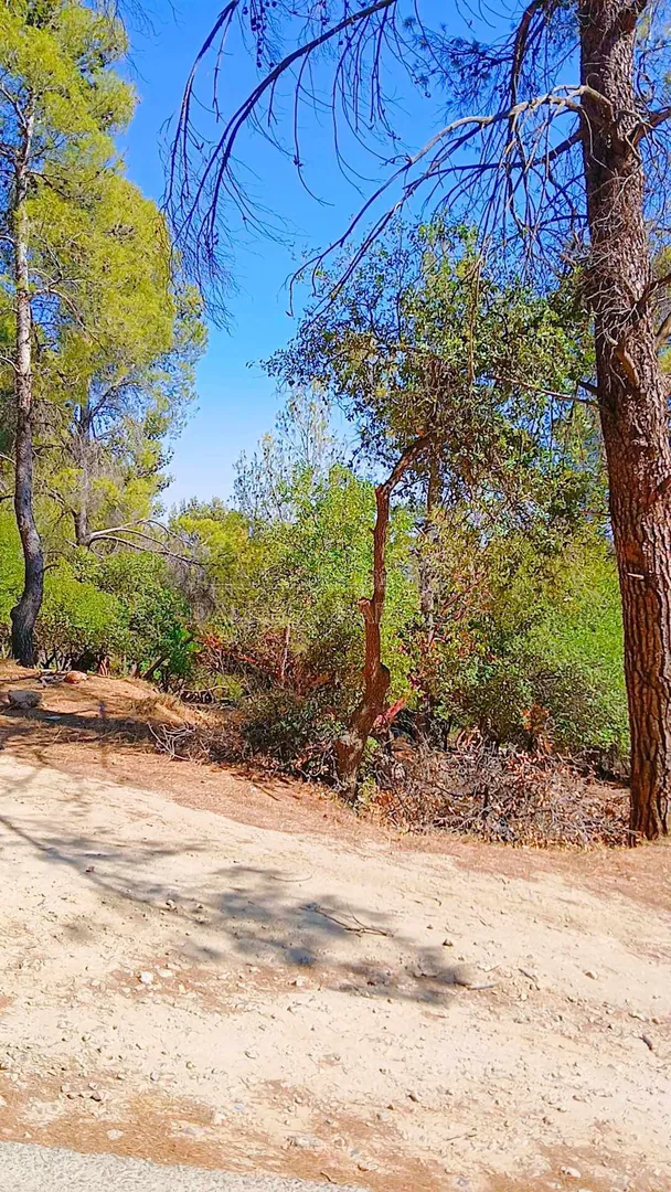 أرض في محمية دبين قري الزراعه  - 35,000 دأ - صورة 1