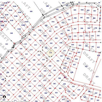 أرض في الدمينة - 300,000 دأ - صورة 1