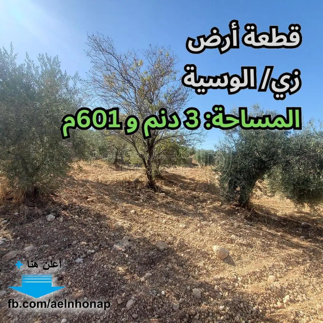 أرض في زي/ الوسية - قرب مسجد الوسية - 180,050 دأ - صورة 1
