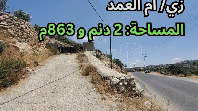 أرض - زي/ أم العمد - على طريق رميمين أم جوزة - 135000 دأ
