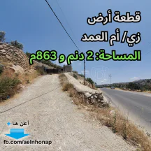 أرض - زي/ أم العمد - على طريق رميمين أم جوزة - 135000 دأ