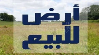 أرض في ناعور امتينه  - 79,000 دأ - صورة 1