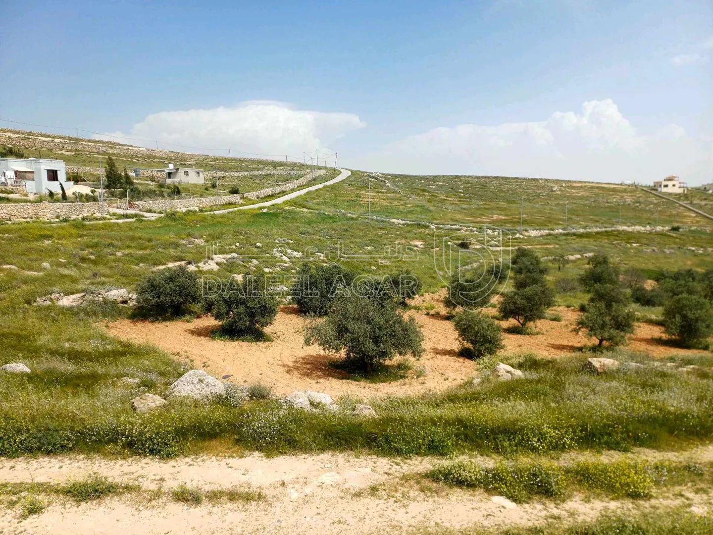 فيلا/منزل في عين بني حسن  - 52,000 دأ - صورة 1