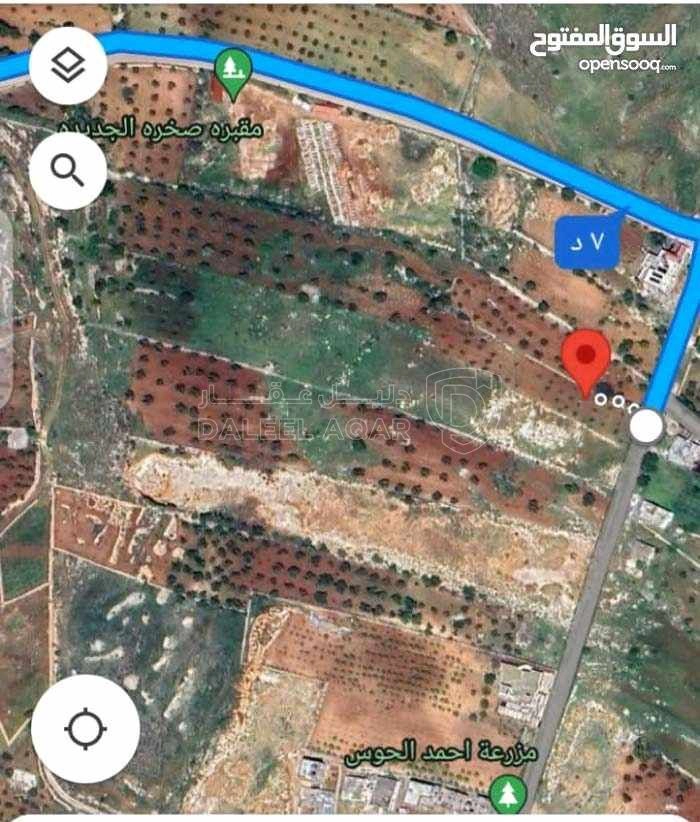 أرض في عجلون. صخرة  - 28,000 دأ - صورة 1