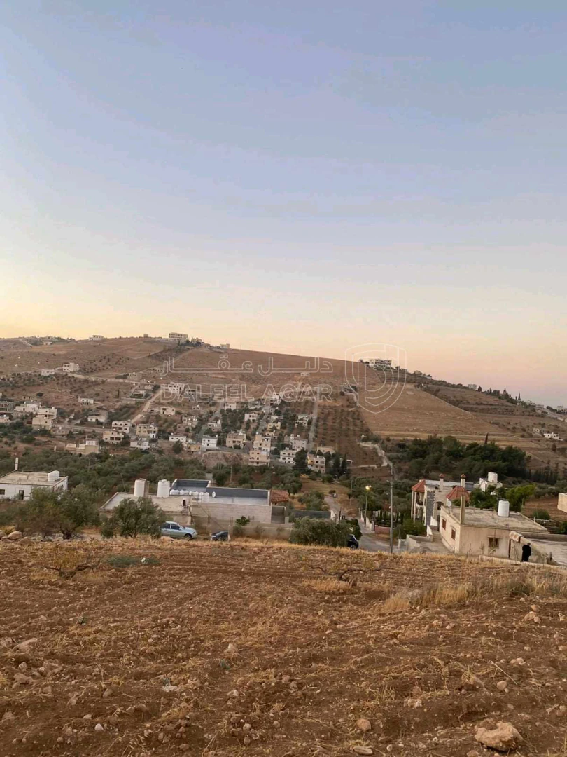 أرض في الزرقاء بيرين - 35,000 دأ - صورة 1