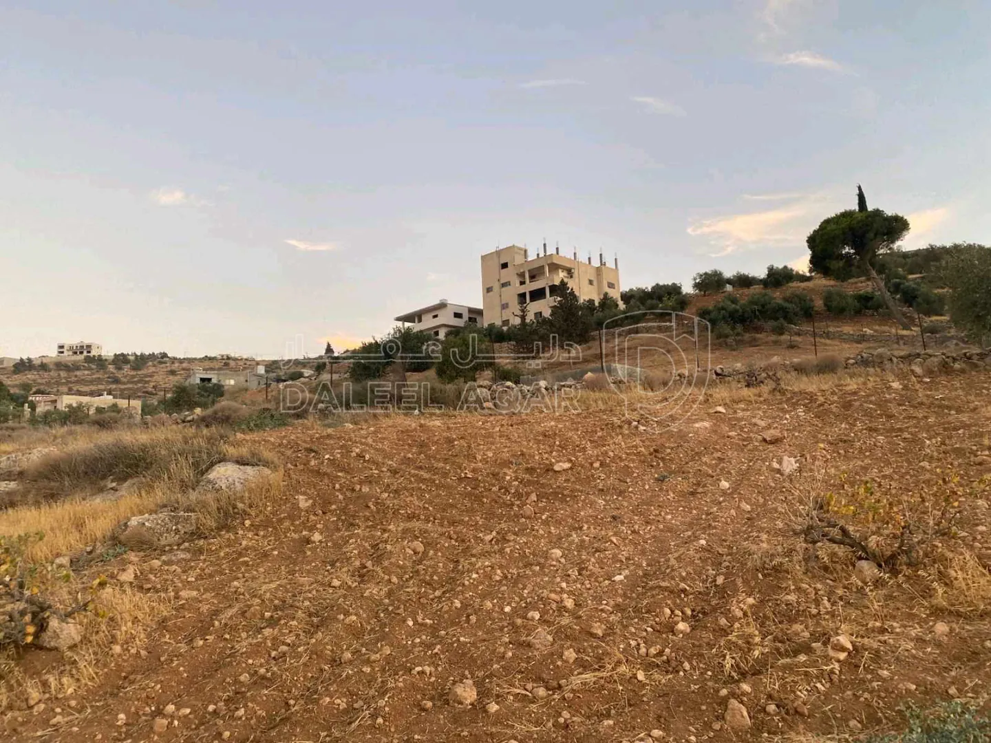 أرض في الزرقاء بيرين - 35,000 دأ - صورة 1